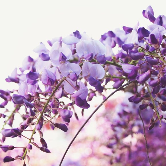 *SOLD* Love/List Women's Plus Size Clothing Mystery Box - Picture 8 of 8